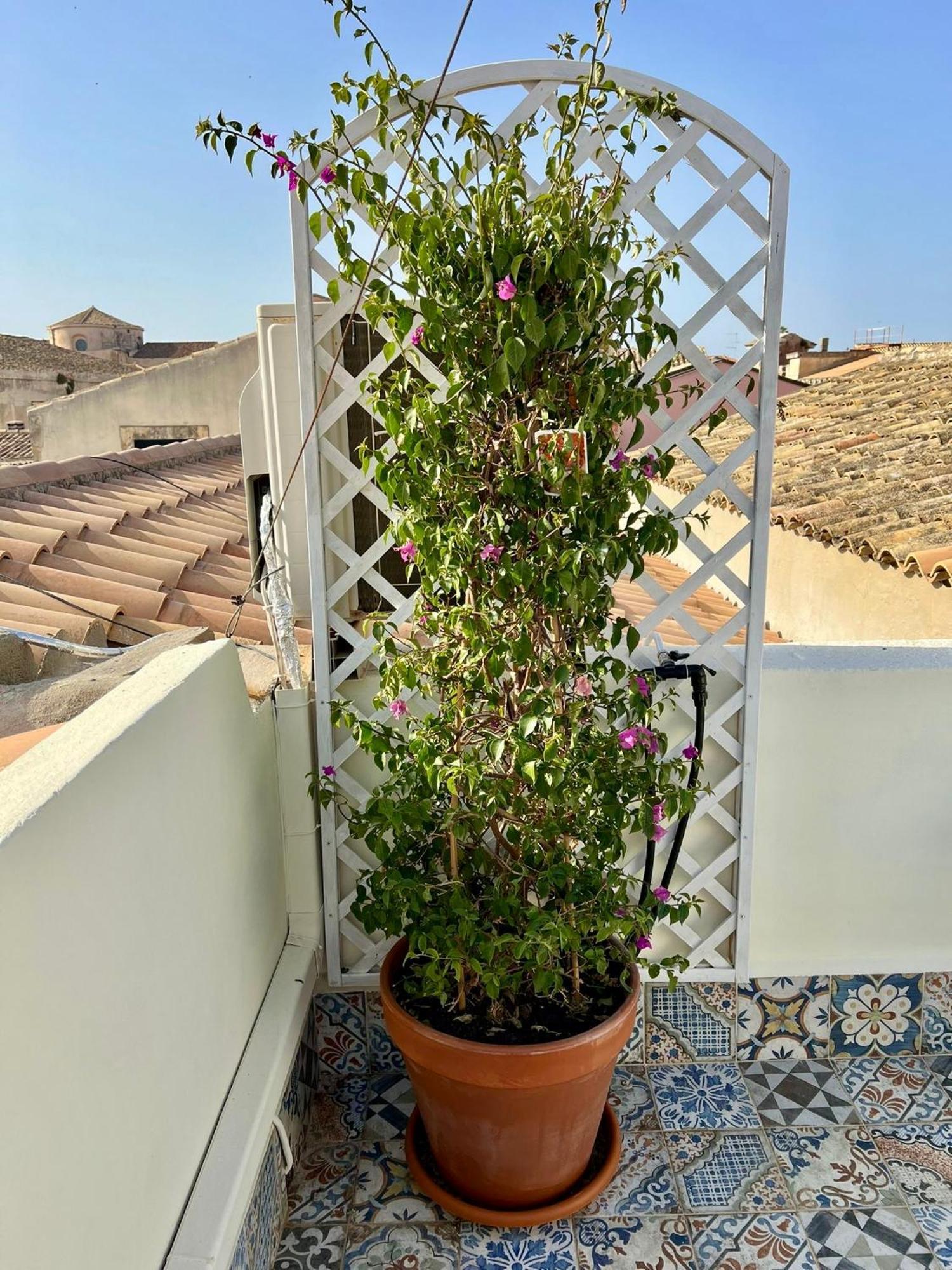 Incantevole Appartamento In Palazzo Storico Ortigia Syrakusa Exteriör bild
